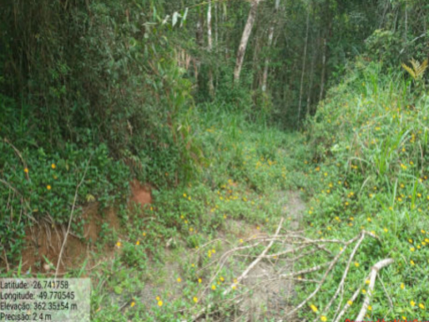 Imagem 4 do Leilão de Terreno - Itaió - Itaiópolis/SC
