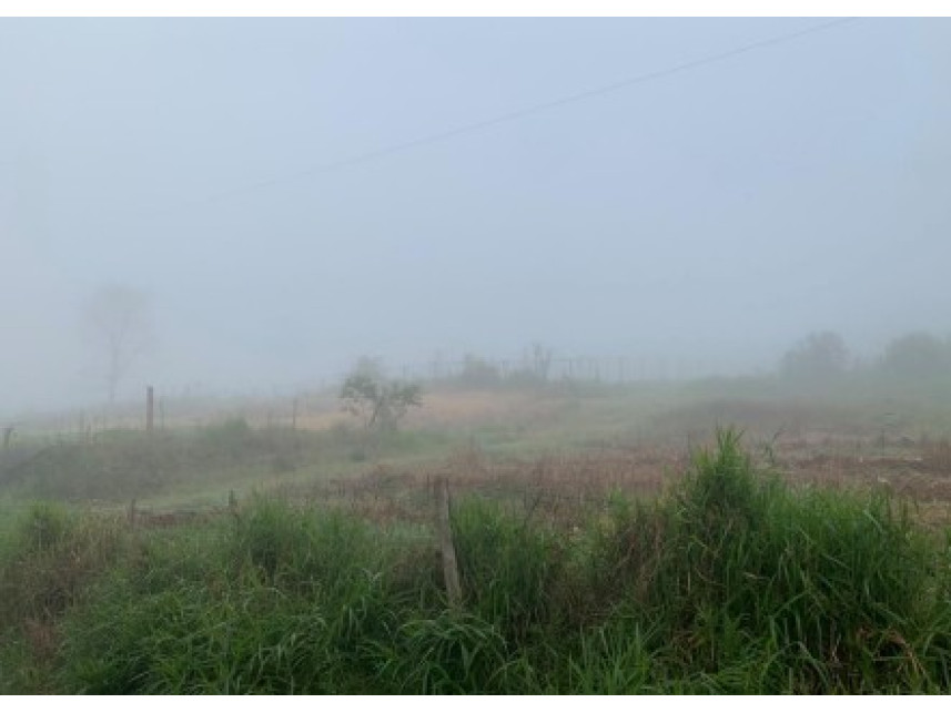 Imagem 7 do Leilão de Área Rural - Distrito de Volta Grande - Alpestre/RS