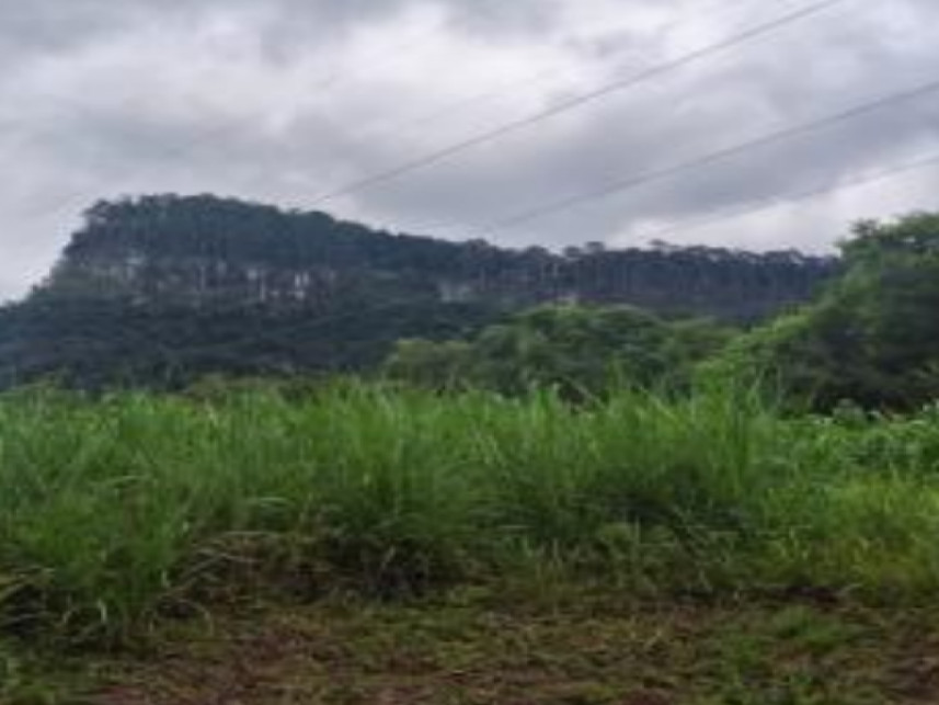 Imagem 3 do Leilão de Área Rural - Interior - Canela/RS