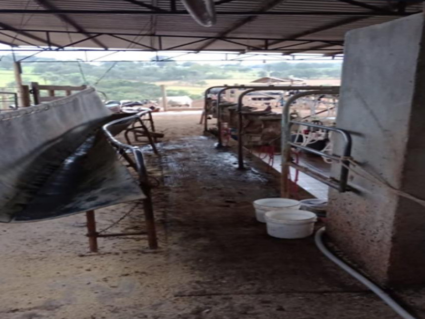 Imagem 6 do Leilão de Fazenda - Limoeiro - Luz/MG