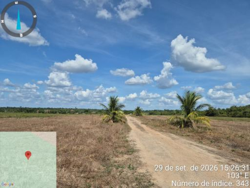 Imagem 22 do Leilão de Área Rural - Interior - Tailândia/PA