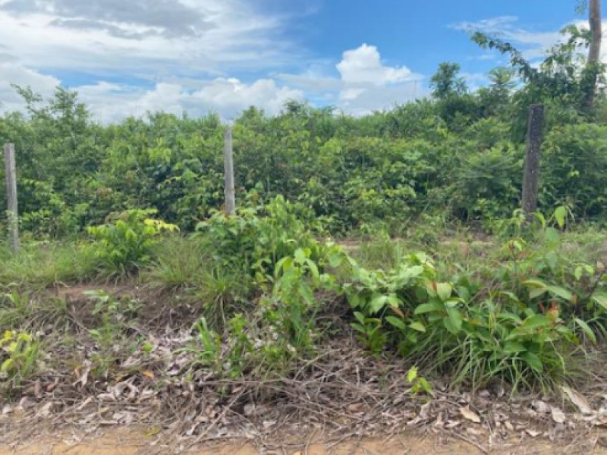 Imagem 8 do Leilão de Fazenda - Zona rural - Vila Nova dos Martírios/MA