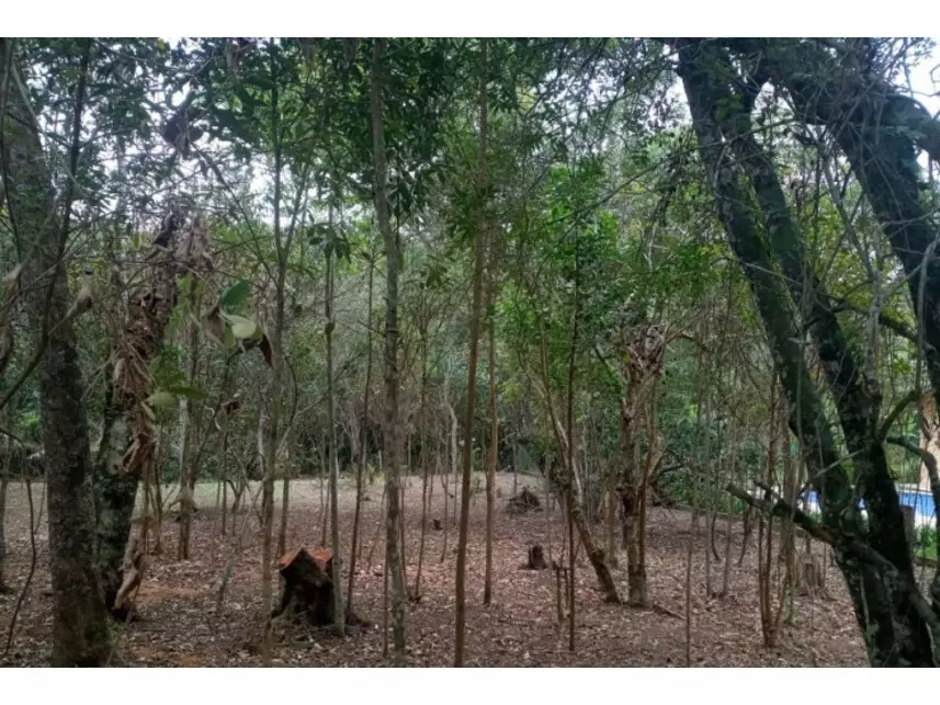 Terreno em leilão em Bairro do Carmo, Sao Roque/SP a partir de R$ 335.981 (Ref. 1026A8) | Lance Rápido