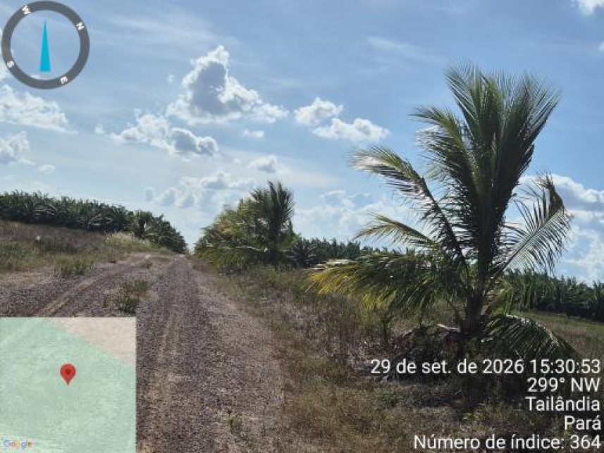 Imagem 8 do Leilão de Área Rural - Interior - Tailândia/PA