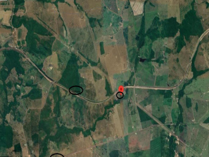 Imagem 2 do Leilão de Fazenda - Zona rural - Vila Nova dos Martírios/MA