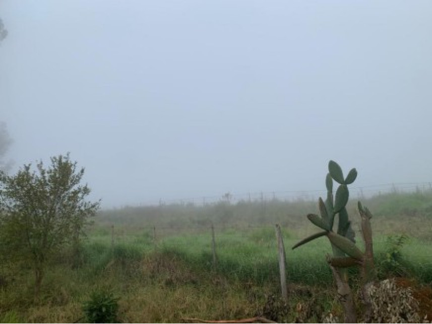 Imagem 12 do Leilão de Área Rural - Distrito de Volta Grande - Alpestre/RS