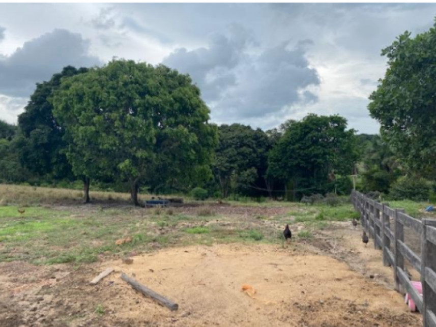 Imagem 5 do Leilão de Fazenda - Fazenda Santa Fé - Zona rural - Vila Nova dos Martírios/MA