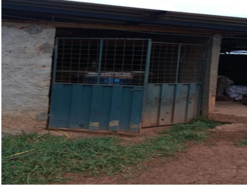 Imagem 2 do Leilão de Fazenda - Limoeiro - Luz/MG