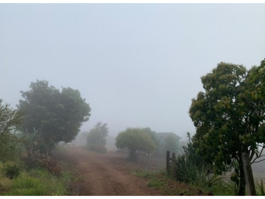 Imagem 14 do Leilão de Área Rural - Distrito de Volta Grande - Alpestre/RS