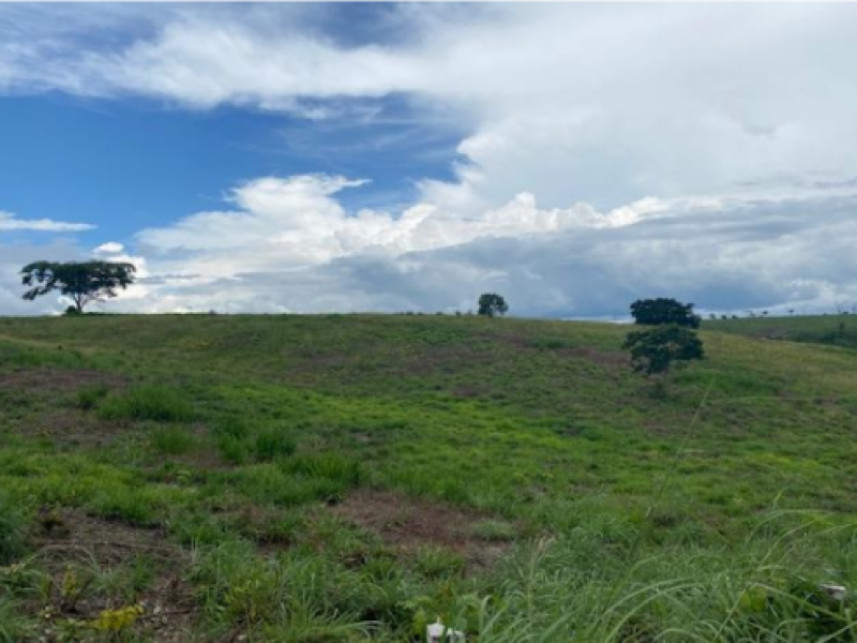 Imagem 11 do Leilão de Fazenda - Zona rural - Vila Nova dos Martírios/MA