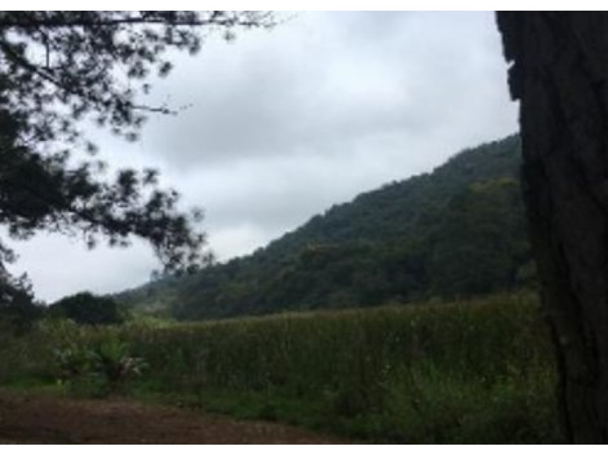 Imagem 3 do Imóvel a venda - Terreno - Altos - Barueri/SP
