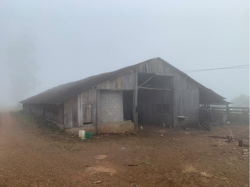 Imagem 20 do Leilão de Área Rural - Distrito de Volta Grande - Alpestre/RS