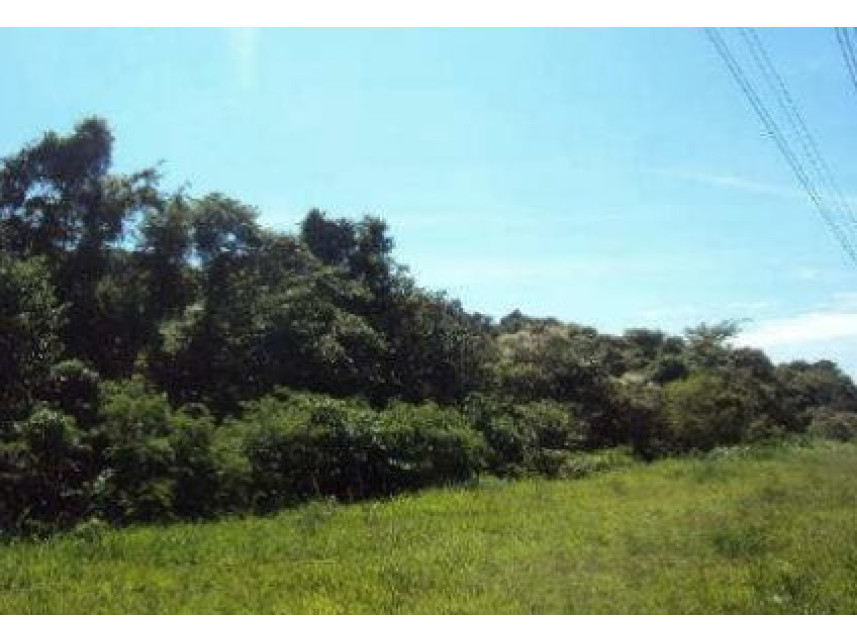 Imagem 6 do Imóvel a venda - Terreno - Vila Piedade - Itapetininga/SP