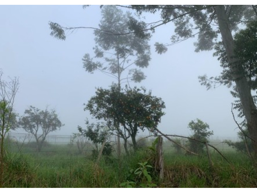 Imagem 6 do Leilão de Área Rural - Distrito de Volta Grande - Alpestre/RS
