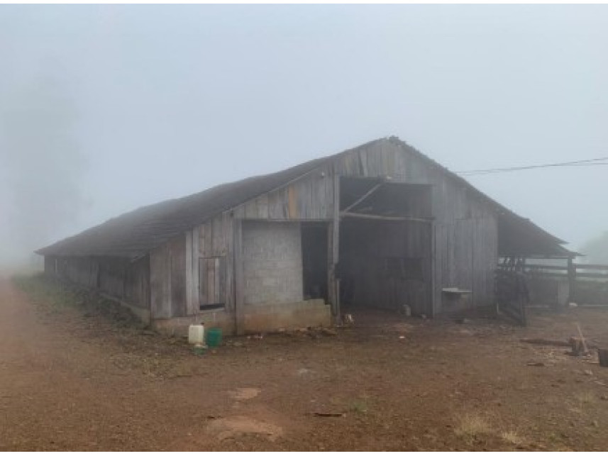 Imagem 16 do Leilão de Área Rural - Distrito de Volta Grande - Alpestre/RS
