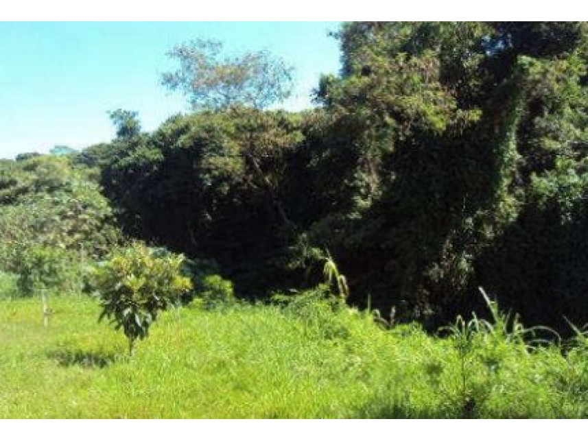 Imagem 6 do Imóvel a venda - Terreno - Vila Piedade - Itapetininga/SP