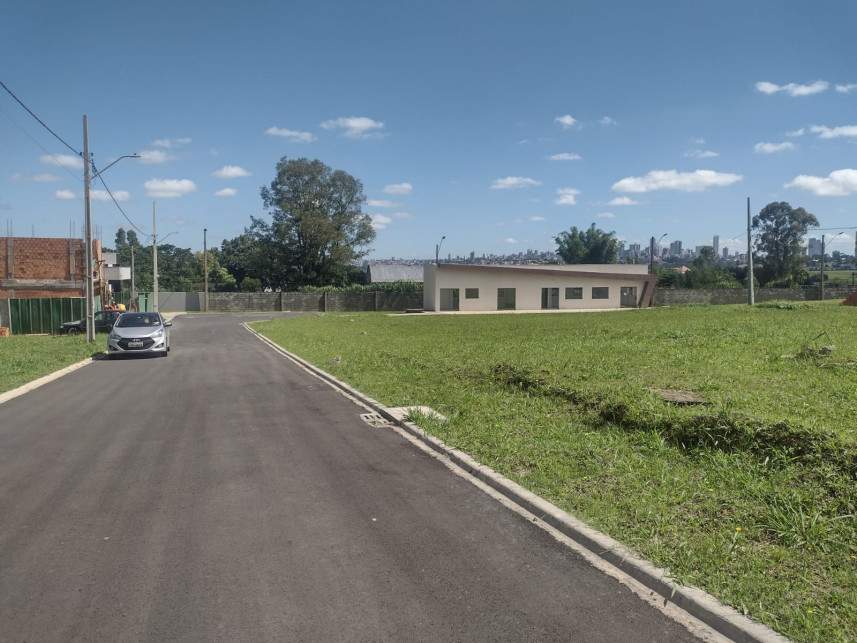Imagem 3 do Leilão de Terreno - Colônia Dona Luíza - Ponta Grossa/PR