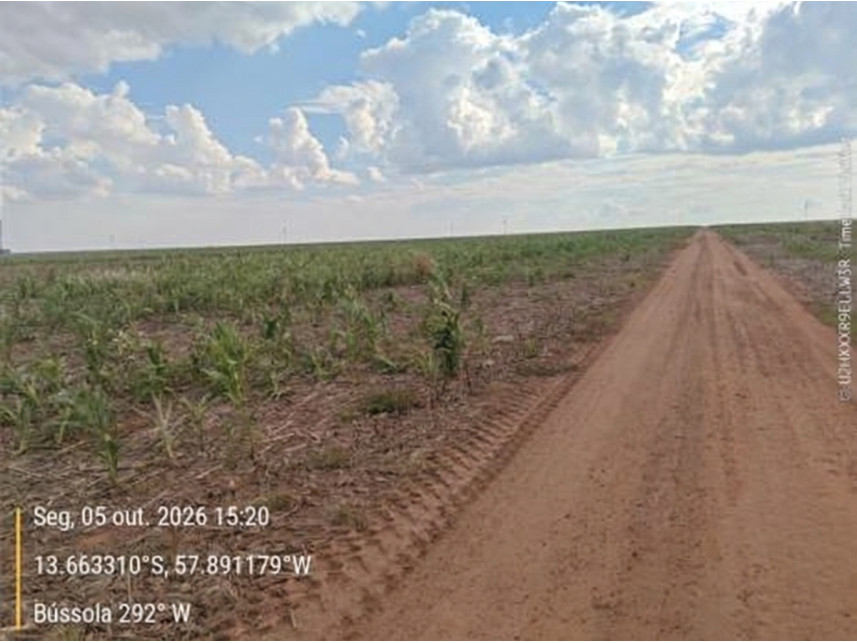 Imagem 1 do Leilão de Área Rural - Zona Rural - Brasnorte/MT