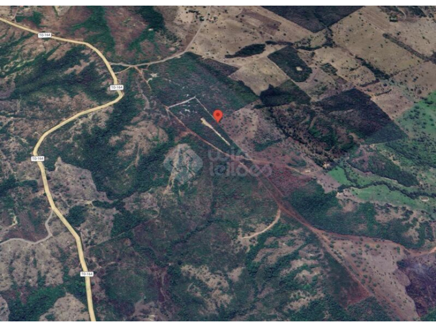 Imagem 4 do Leilão de Área Rural - Zona Rural - Goianorte/TO
