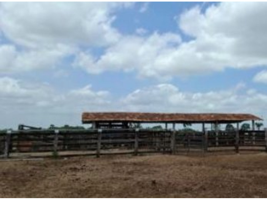 Imagem 11 do Leilão de Área Rural - Interior - São Pedro da Água Branca/MA