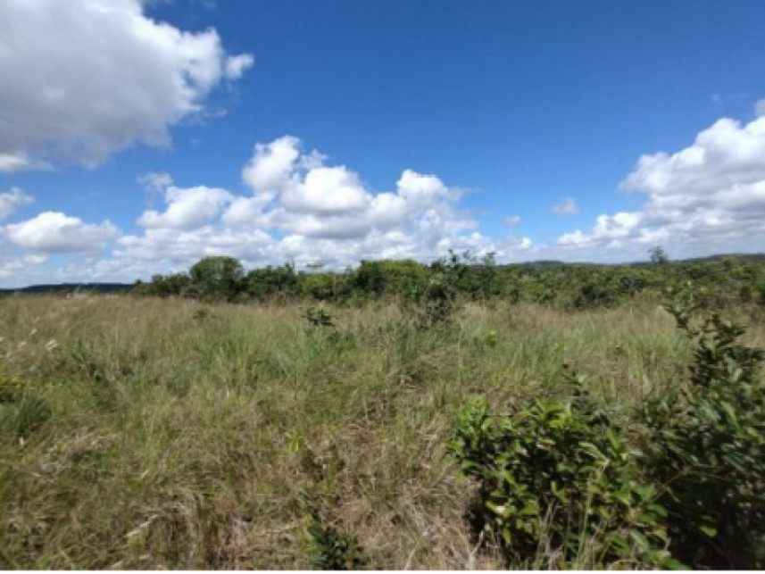 Imagem 4 do Leilão de Terreno - Povoado Duro - Itaporanga D'Ajuda/SE