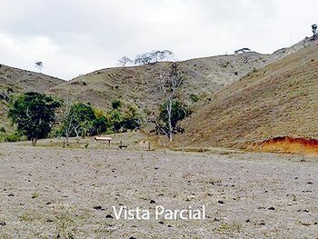 Área Rural em leilão - ,  - Mendes Pimentel/MG - Banco Bradesco S/A | Z9473