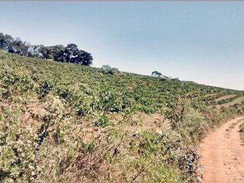 Área Rural em leilão - ,  - Ilicínea/MG - Banco Bradesco S/A | Z9473