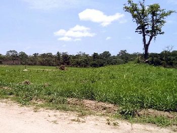 Terrenos em leilão - ,  - São Geraldo do Araguaia/PA - Banco Bradesco S/A | Z9473