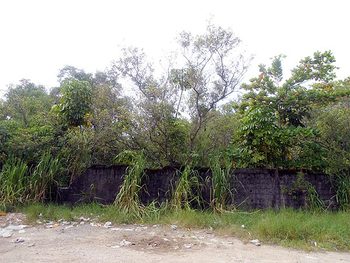 Terreno em leilão - ,  - Guarujá/SP - Banco Santander Brasil S/A | Z9793