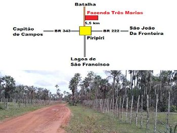 Área Rural em leilão - ,  - Piripiri/PI - Banco Bradesco S/A | Z9633