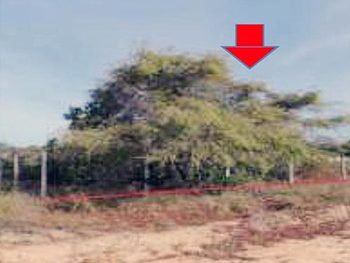 Terreno em leilão - ,  - Conde/PB - Banco Bradesco S/A | Z9633