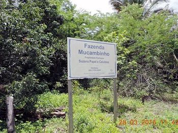 Área Rural em leilão - ,  - Caxias/MA - Suzano Papel e Celulose | Z11331