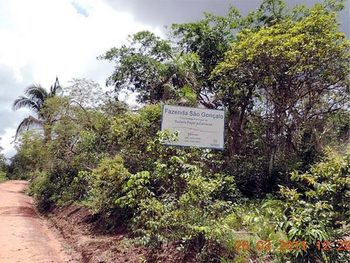 Área Rural em leilão - ,  - Timon/MA - Suzano Papel e Celulose | Z11331