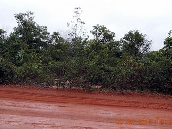 Área Rural em leilão - ,  - São João do Paraíso/MA - Suzano Papel e Celulose | Z11331