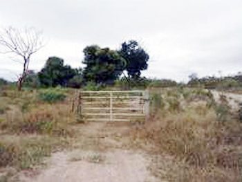 Área Rural em leilão - ,  - Taiobeiras/MG - Banco Bradesco S/A | Z11771LOTE020