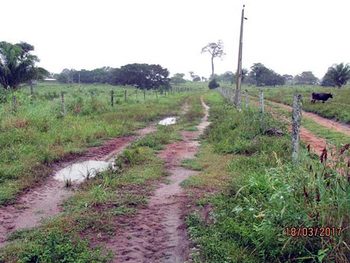 Área Rural em leilão - Fazenda Reunidas Jr, s/n - São José dos Quatro Marcos/MT - Banco Bradesco S/A | Z12313LOTE008