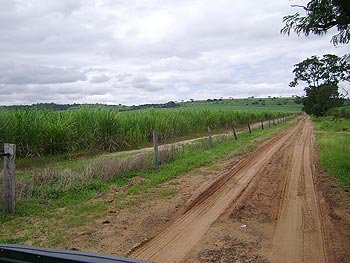 Gleba Rural em leilão - Sítio Santo Antônio, s/n - Santa Rita do Passa Quatro/SP - Tribunal de Justiça do Estado de São Paulo | Z11961LOTE002