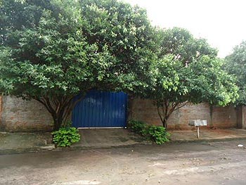 Casa em leilão - Rua Guarani, 1.056 - Aparecida do Taboado/MS - Banco Bradesco S/A | Z12517LOTE020