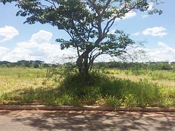 Terreno em leilão - Avenida Podalírio Albuquerque, s/n - Iguatemi/MS - Banco Bradesco S/A | Z12656