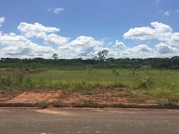 Terreno em leilão - Avenida Podalírio Albuquerque, s/n - Iguatemi/MS - Banco Bradesco S/A | Z12656