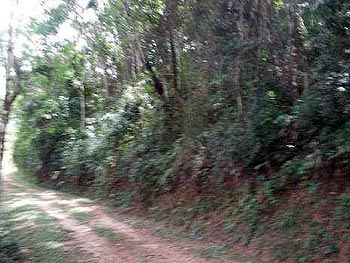 Terreno em leilão - Rua das Bromélias, S/N - Petrópolis/RJ - Banco Bradesco S/A | Z12656