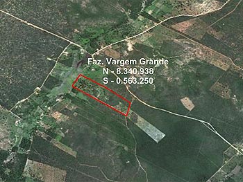 Áreas Rurais em leilão - Área rural, s/n - Januária/MG - Banco Bradesco S/A | Z12706