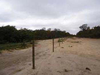 Área Rural em leilão - Zona Rural, s/n - Taiobeiras/MG - Banco Bradesco S/A | Z13133