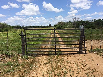 Área Rural em leilão - Denominado Fazenda Uberaba, s/nº - Campo Alegre de Lourdes/BA - Banco Sistema | Z13624