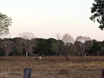Terreno em leilão - Avenida Lacerda, s/nº - Peixe/TO - Banco Sistema | Z13624