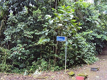 Terreno em leilão - Terreno nº 16 - Quadra 25, s/n° - Massaguaçu/SP - Banco Sistema | Z13624