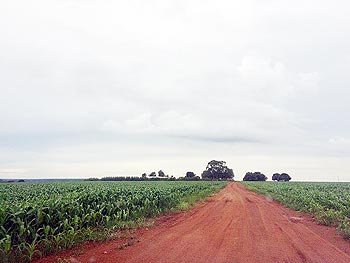 Área Rural em leilão - Rodovia MT-040, s/nº  - Pedra Preta/MT - Banco Sistema | Z13624