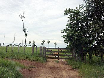 Área Rural em leilão - Fazenda Ajato, s/nº - Rondonópolis/MT - Banco Sistema | Z13912LOTE014