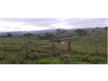 Área Rural em leilão -  Denominada Fazenda Ipê Amarelo III, , s/n - Bom Jesus das Selvas/MA - Banco Bradesco S/A | Z14813LOTE006