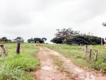 Área Rural em leilão - Denominada Fazenda Remanso, s/n - Dianópolis/TO - Banco Bradesco S/A | Z16572LOTE004